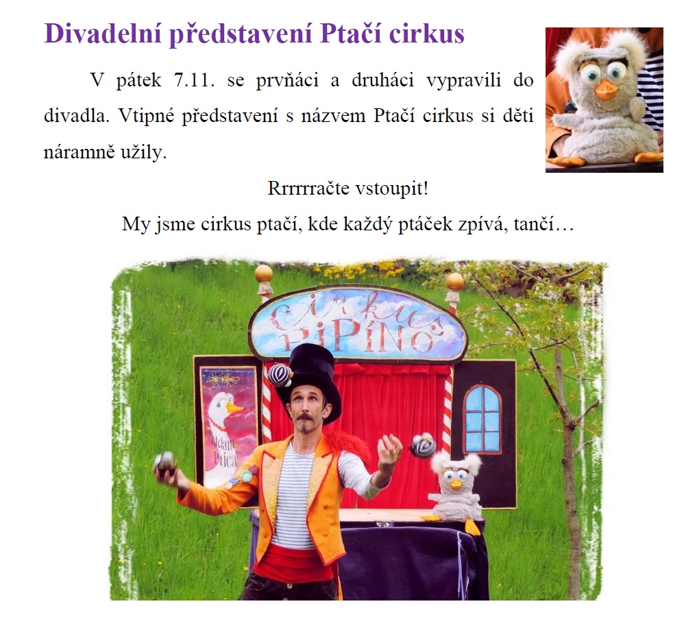 ptaci cir