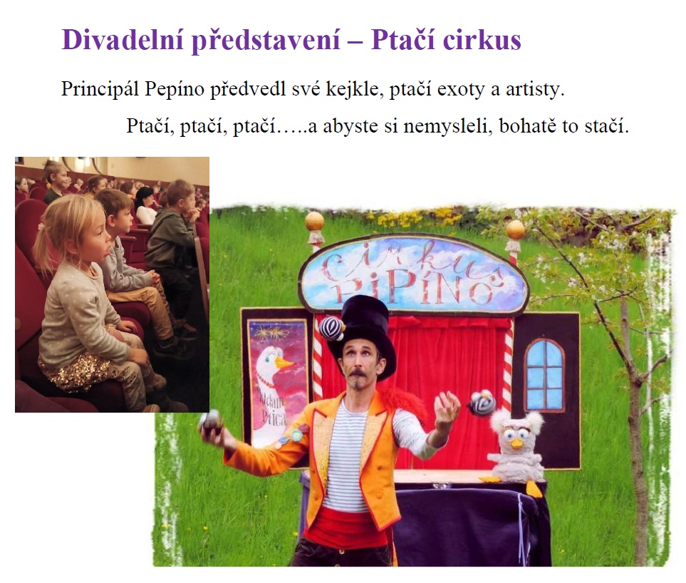 ptaci ms